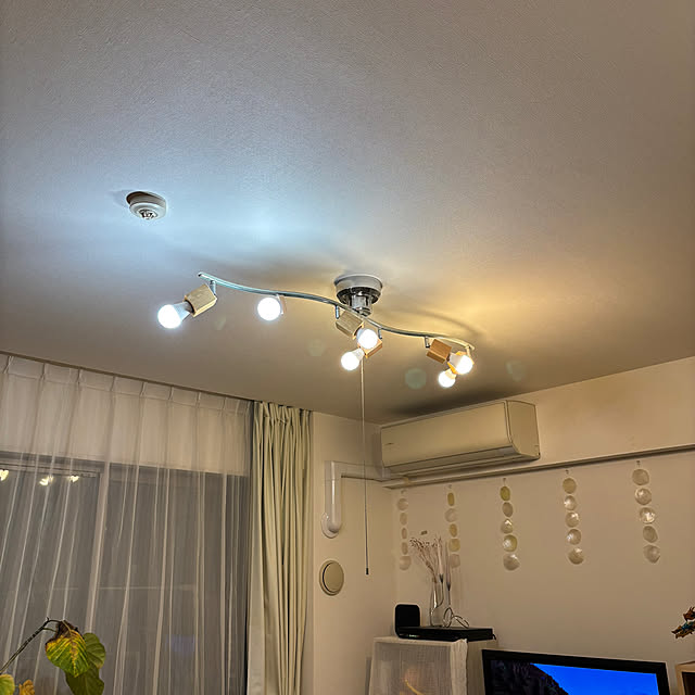 実例写真