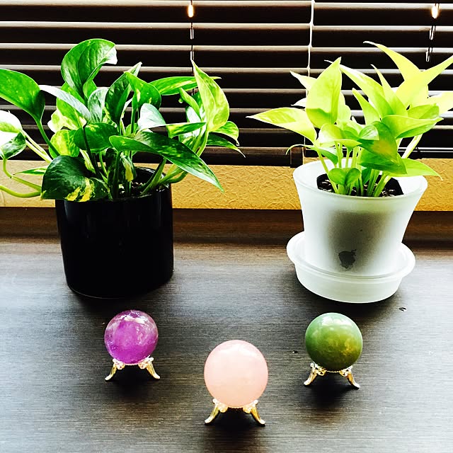 NiCOさんの実例写真