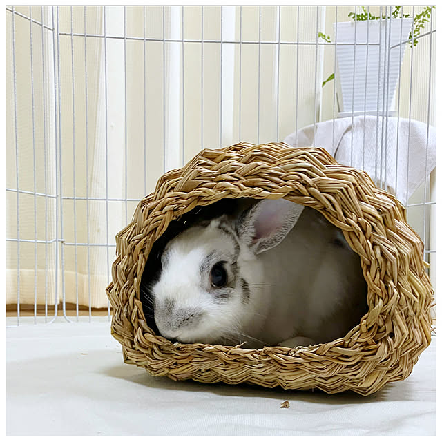 ksfioriさんの実例写真