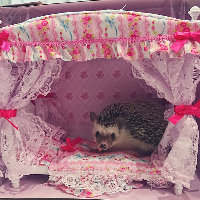 mieさんの実例写真