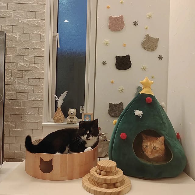 Marikoさんの実例写真