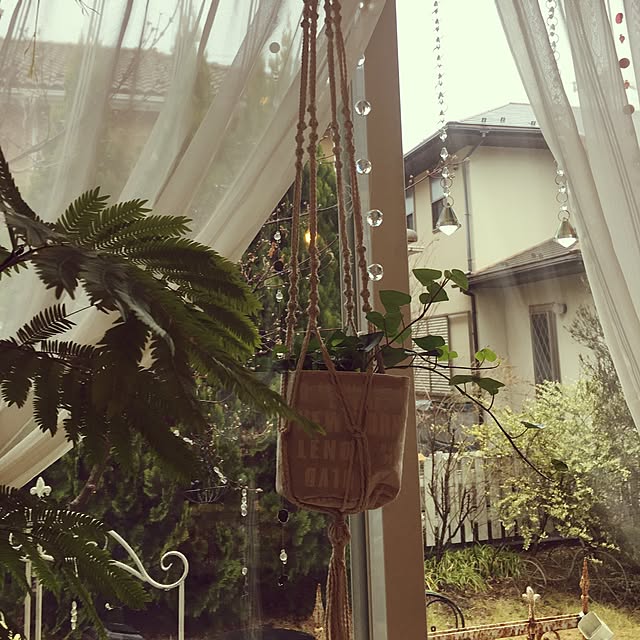 mamiarisaさんの実例写真