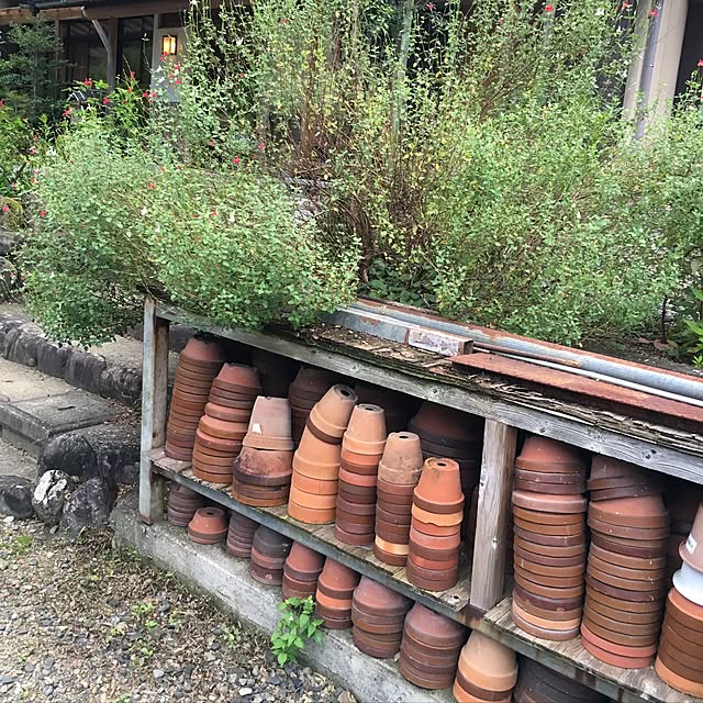 harunoさんの実例写真