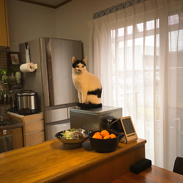 nobikoさんの実例写真