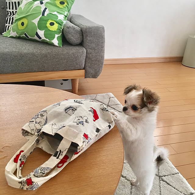 haritakaさんの実例写真