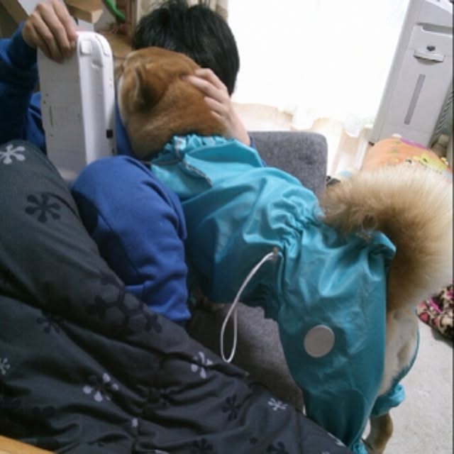 kotaさんの実例写真