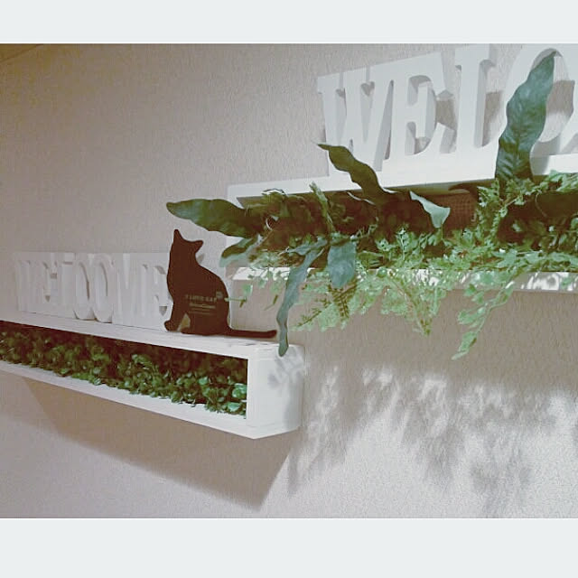 heart.emiemi57.whiteさんの実例写真
