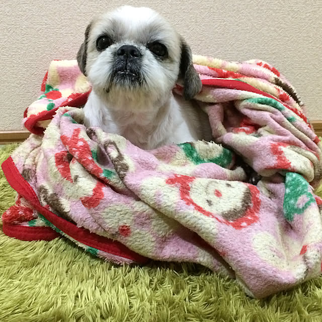 lenkaさんの実例写真