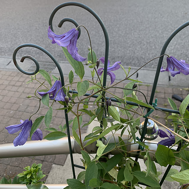 noinoi99さんの実例写真