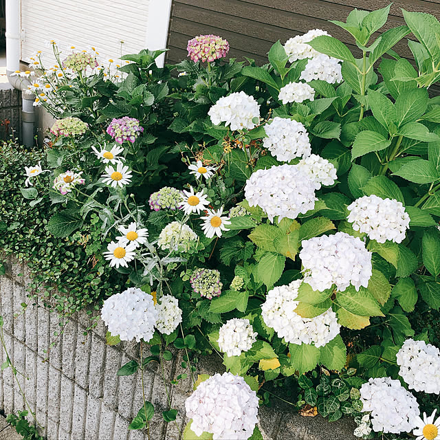 eriharuさんの実例写真