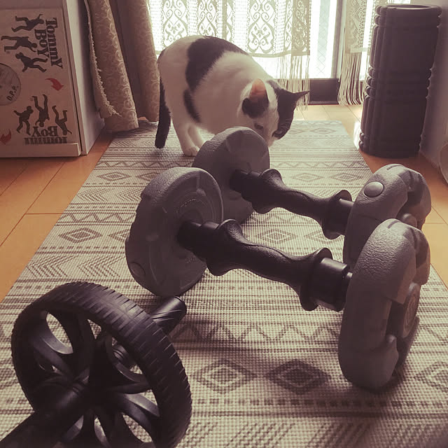 chachaさんの実例写真