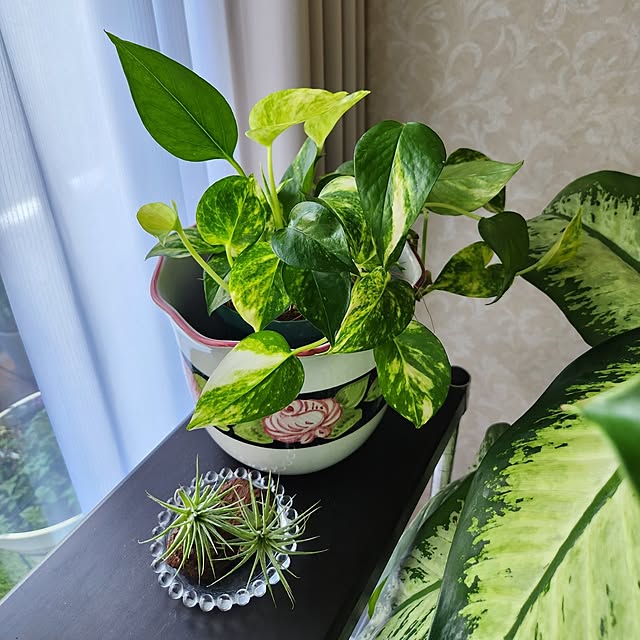 takoさんの部屋
