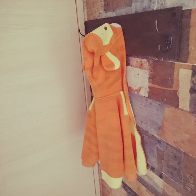 shishimaiさんの実例写真