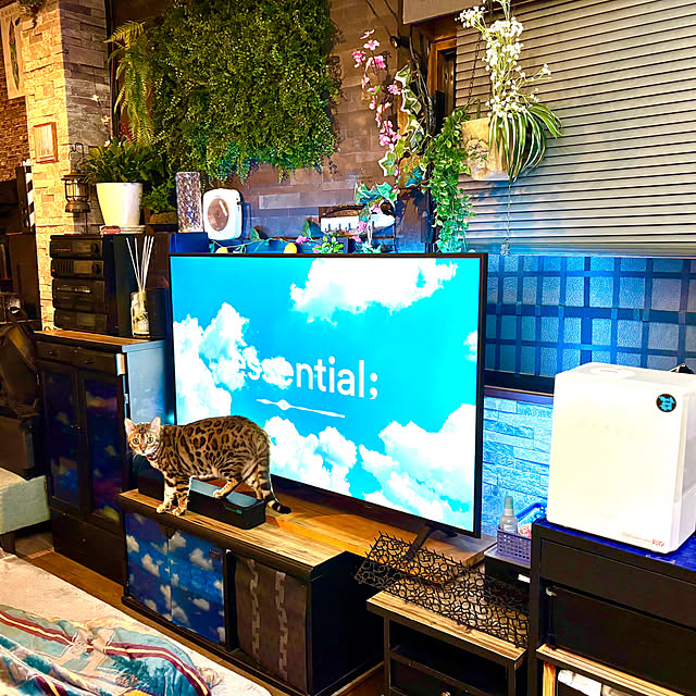 tututu0204さんの部屋