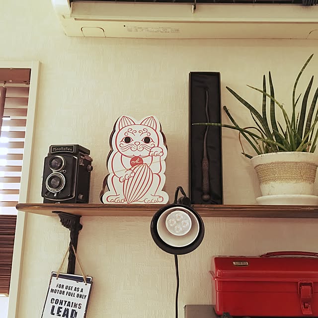 harutoikaさんの実例写真