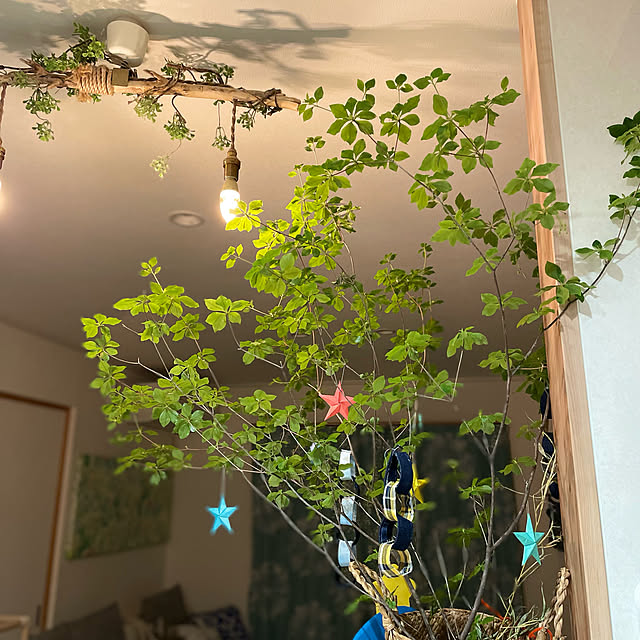 mariさんの実例写真