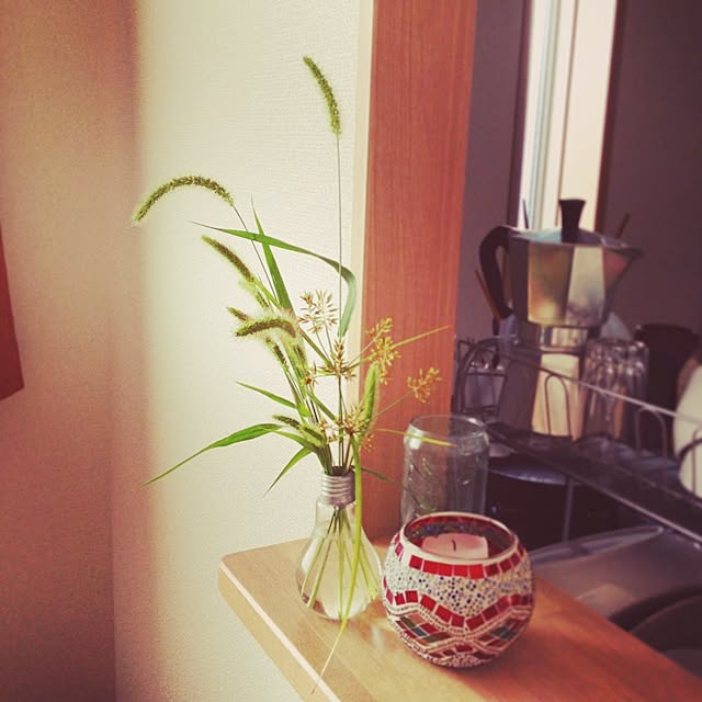 キッチン/植物のインテリア実例 - 2014-07-31 08:12:51