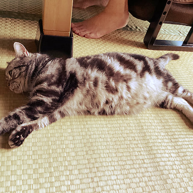 richanさんの部屋