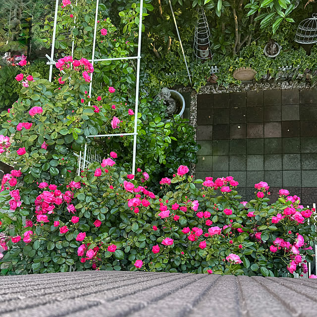 RoseLife5818さんの実例写真
