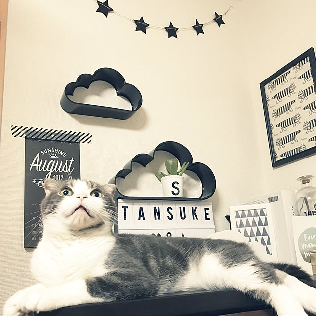 tansukeさんの実例写真