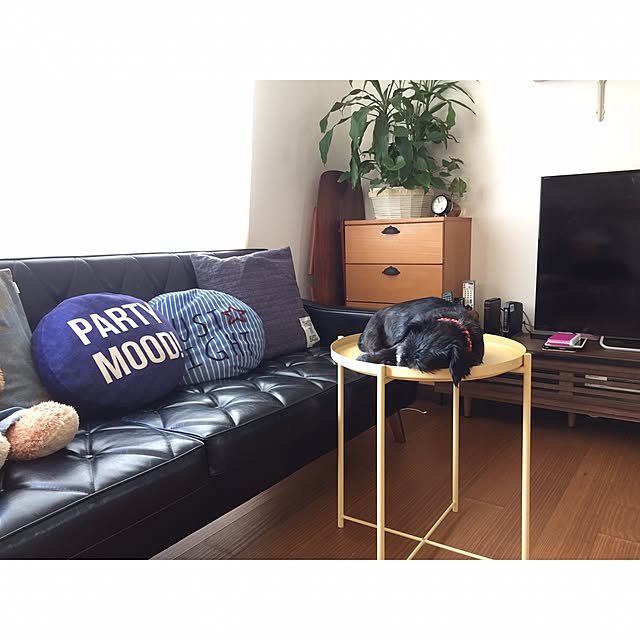 assaji520さんの実例写真