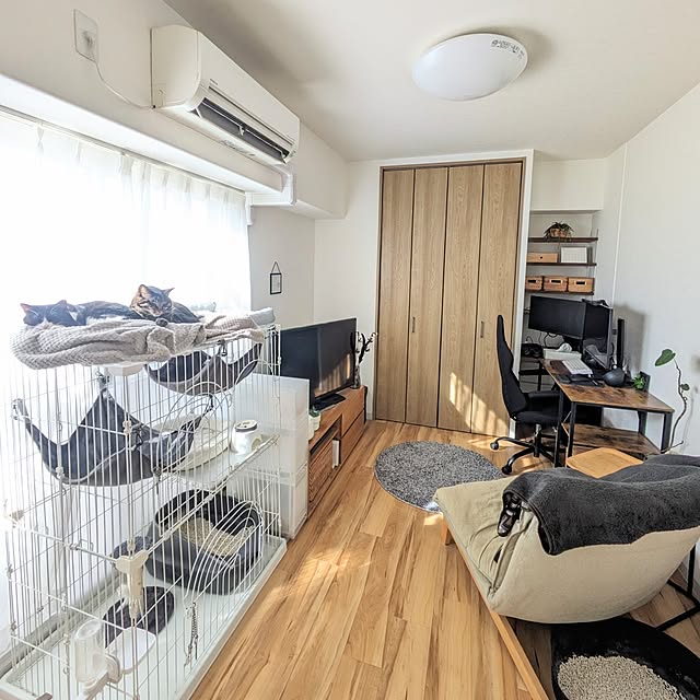 hihaさんの部屋
