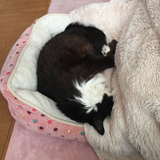 kanaさんの実例写真