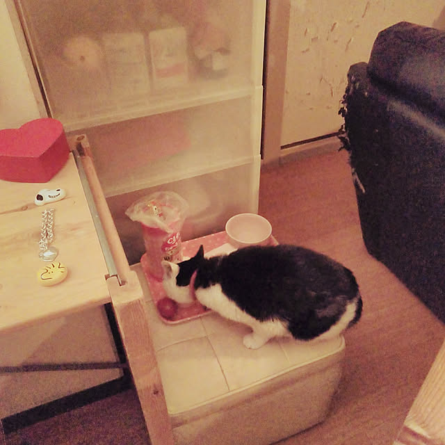 catloveさんの実例写真