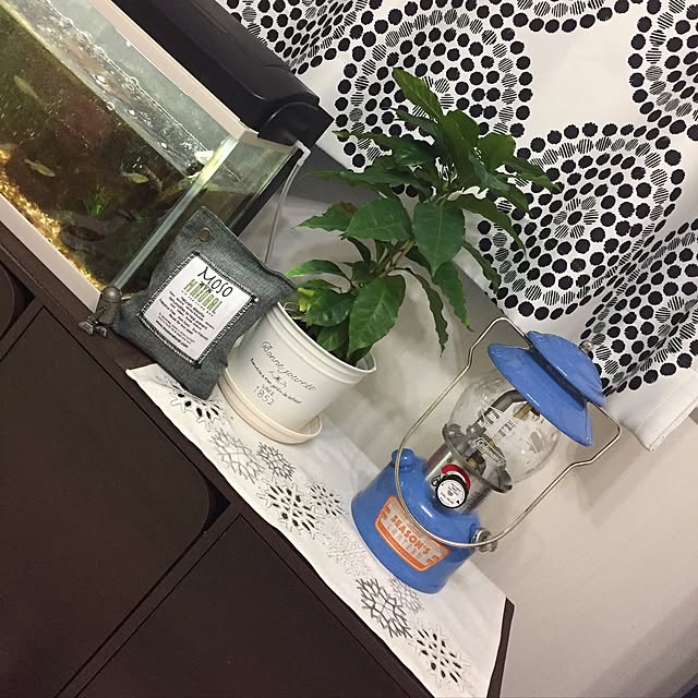 88snowさんの実例写真