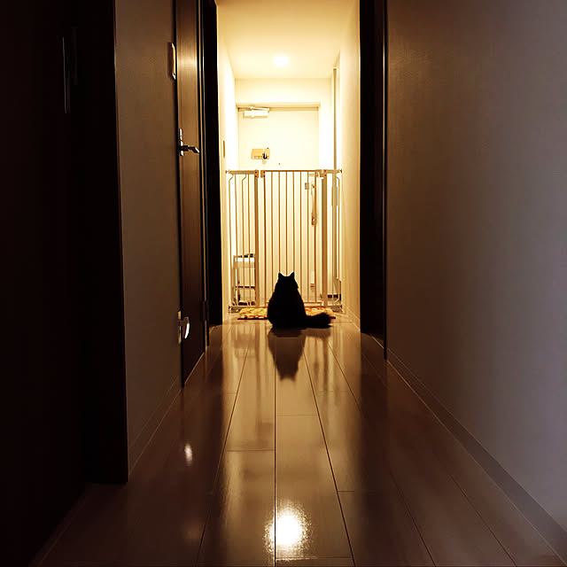 723さんの実例写真