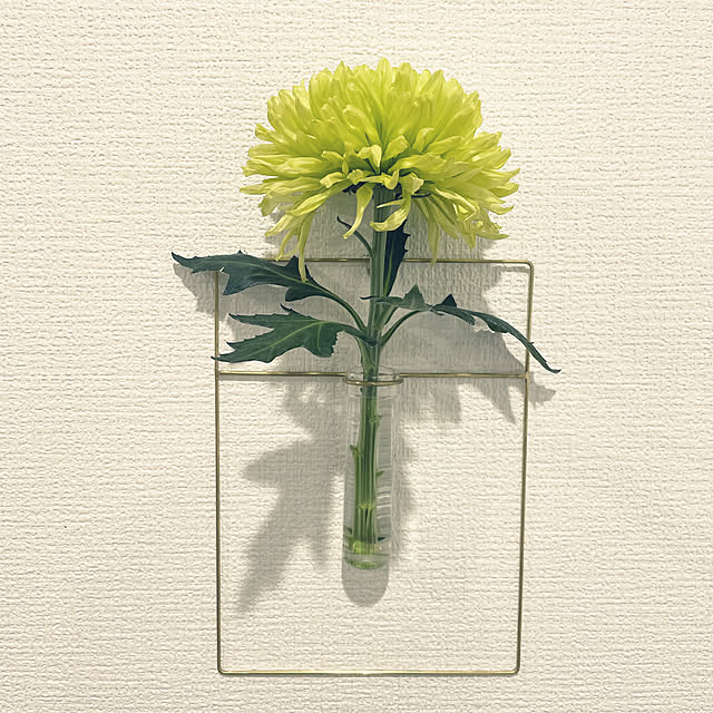 花のある生活/花のある風景/北欧雑貨/一輪挿し/賃貸アパート...などのインテリア実例 - 2022-09-08 19:16:24