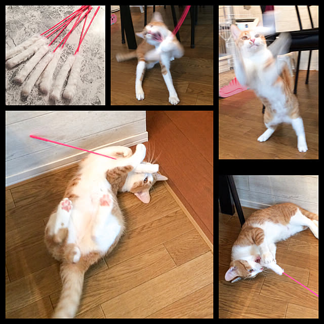 mako2yaさんの実例写真