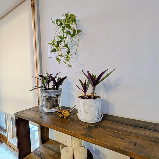 Renさんの実例写真