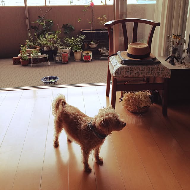 yさんの実例写真