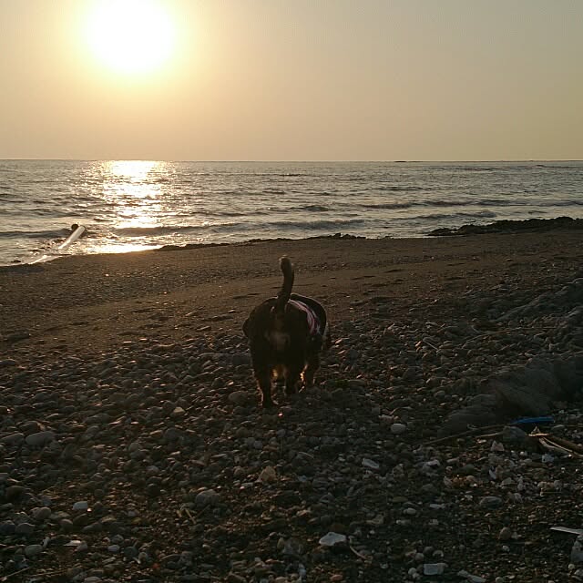 cloverさんの実例写真