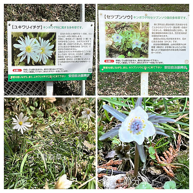 akaidarumaさんの部屋