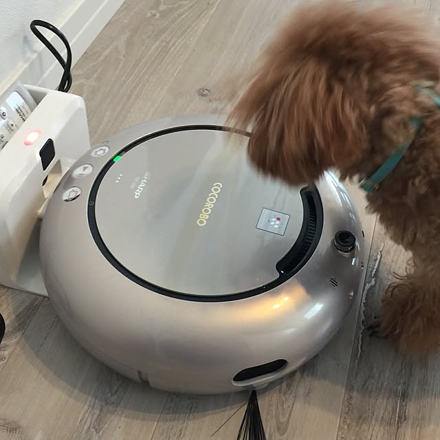 rarcmamaさんの実例写真