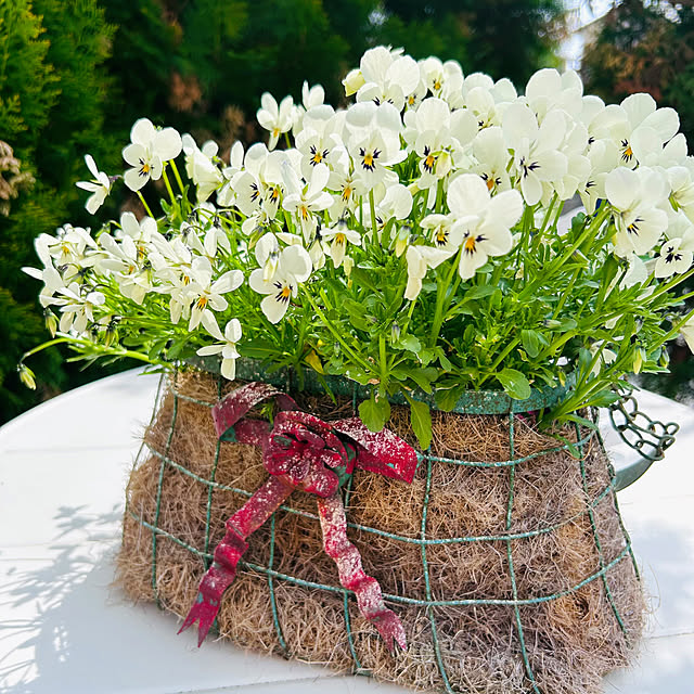 sunabaさんの部屋