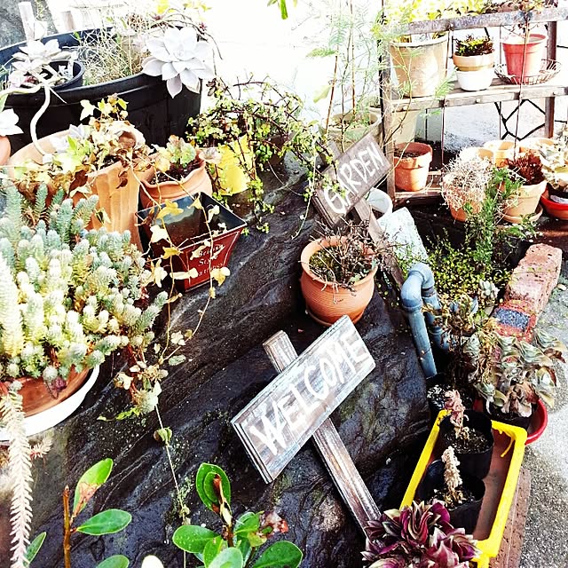 shihosamaさんの実例写真