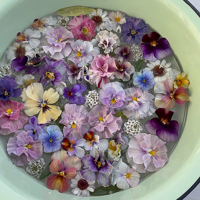 mayumiさんの部屋