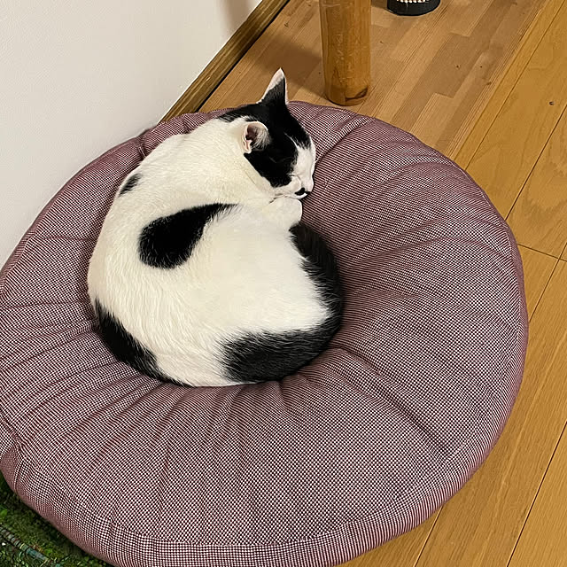 nobikoさんの部屋