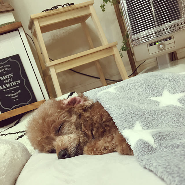 haru._.hanaさんの実例写真