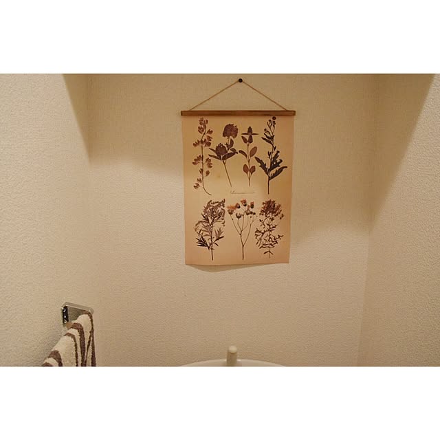 ameさんの実例写真