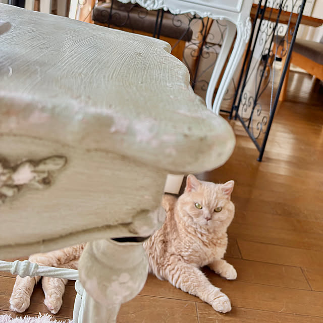 naokoさんの部屋