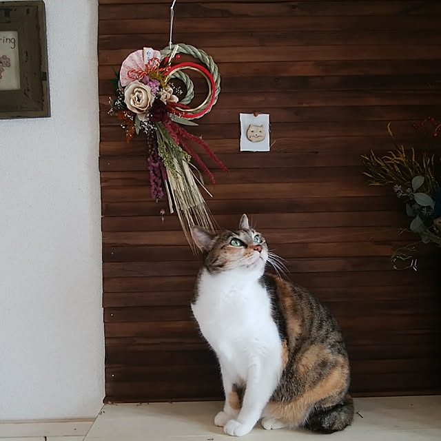 tomo1220さんの実例写真