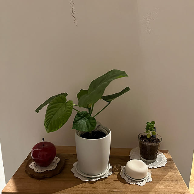 YUKINさんの実例写真