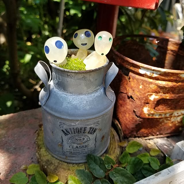 midoriさんの部屋