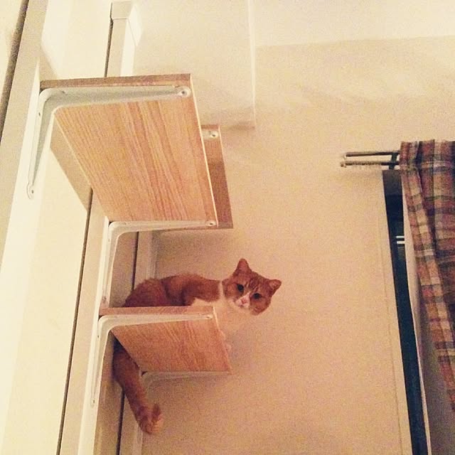 camomile326さんの実例写真