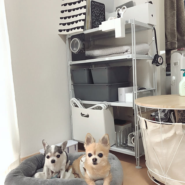 Emiさんの実例写真