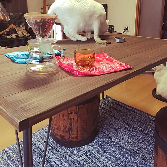 gadgetさんの実例写真